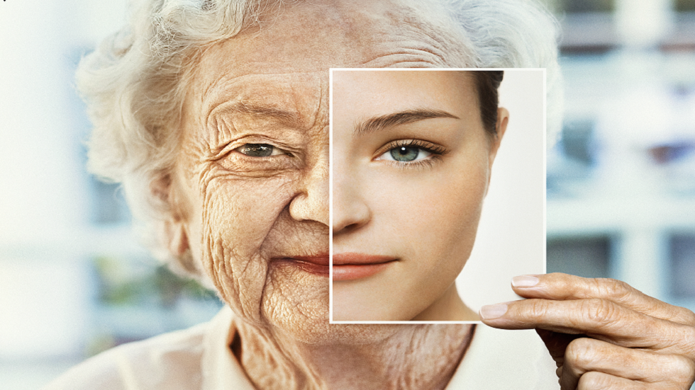 هل اكتشف العلماء أخيرا 