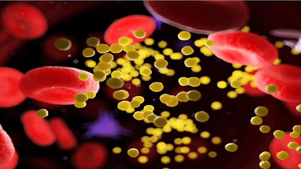 الحد الأقصى لكمية البيض التي يمكن تناولها إذا كنت مصابا بارتفاع الكوليسترول في الدم!