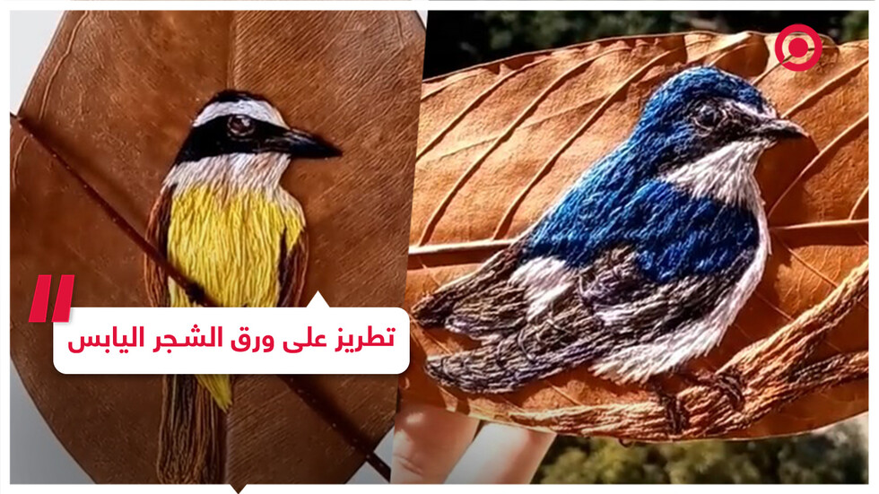 تايتل: هل بمقدروك فعل ذلك دون أن تكسر ورق الشجر؟