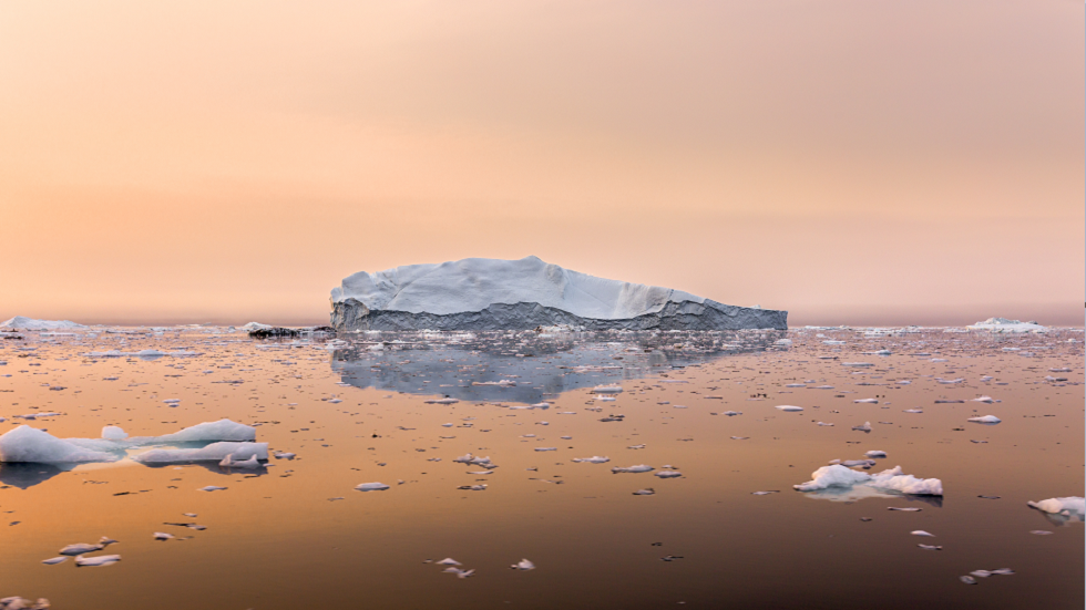 حل لغز في القطب الشمالي بعد اكتشاف كائنات 