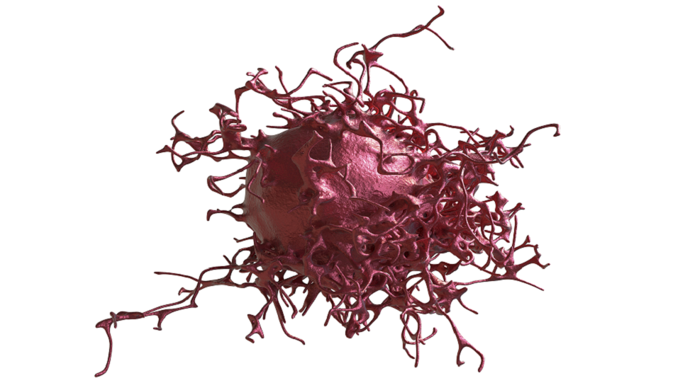 دراسة: غذاء يظهر "ارتباطه المباشر" بالسرطان!