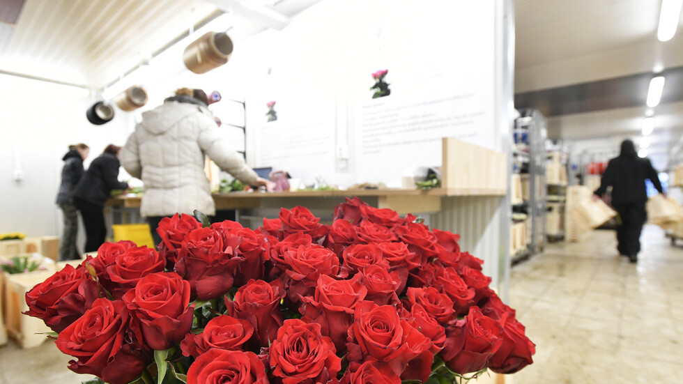 داعية مصري يطالب بإلغاء "عيد الحب" ويطرح نظرته للحب الحقيقي