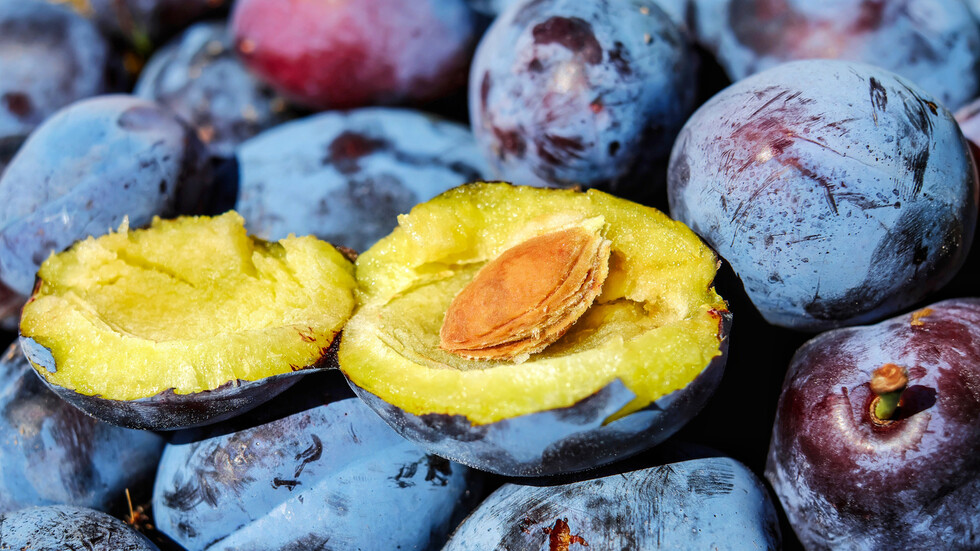 البرقوق يساعد في الحماية من حالة صحية تصيب أكثر من 200 مليون امرأة حول العالم سنويا