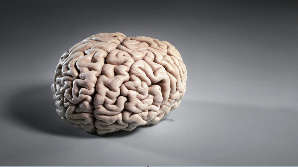 دراسة تكشف عن سبب بطء أدمغتنا مع تقدمنا في العمر!