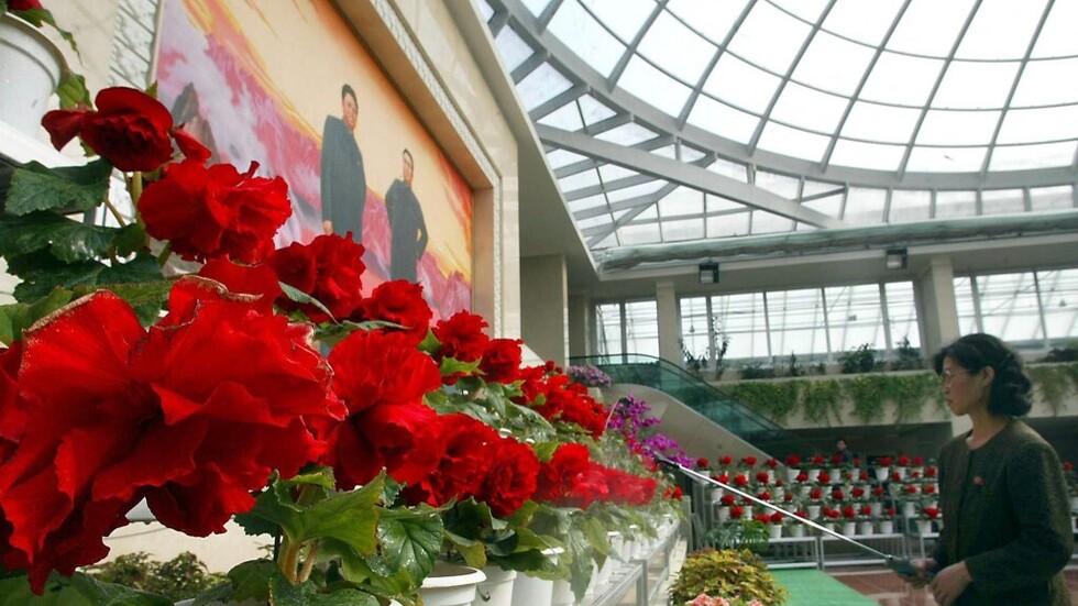 كوريا الشمالية.. سجن خبراء زراعيين فشلوا في إنبات زهرة