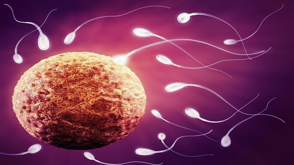 دراسة تقدم دليلا جديدا لتأثير تلوث الهواء على جودة الحيوانات المنوية