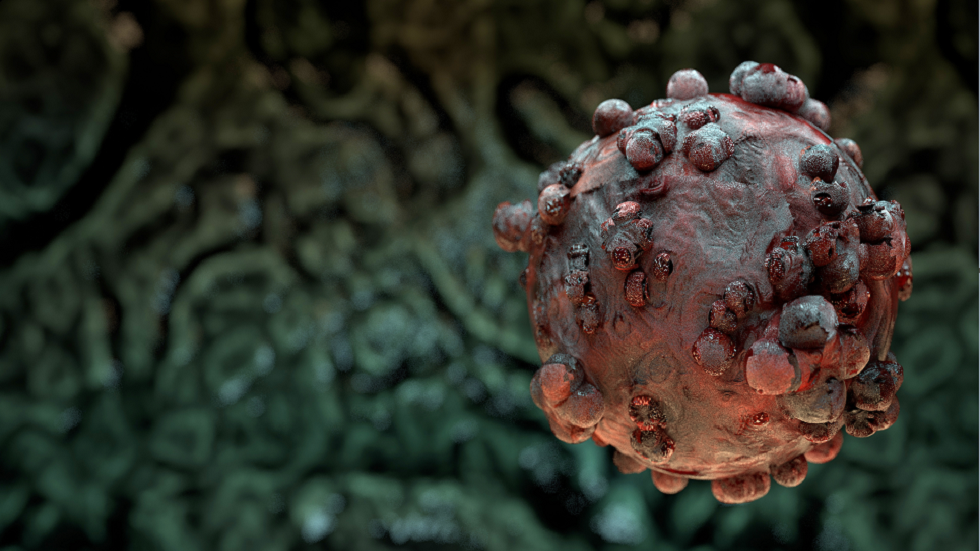 دراسة يابانية: المتحوّر 