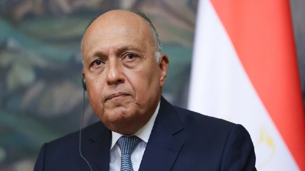 شكري يؤكد على ضرورة إنهاء حالة الجمود السياسي التي تعتري المشهد السوري