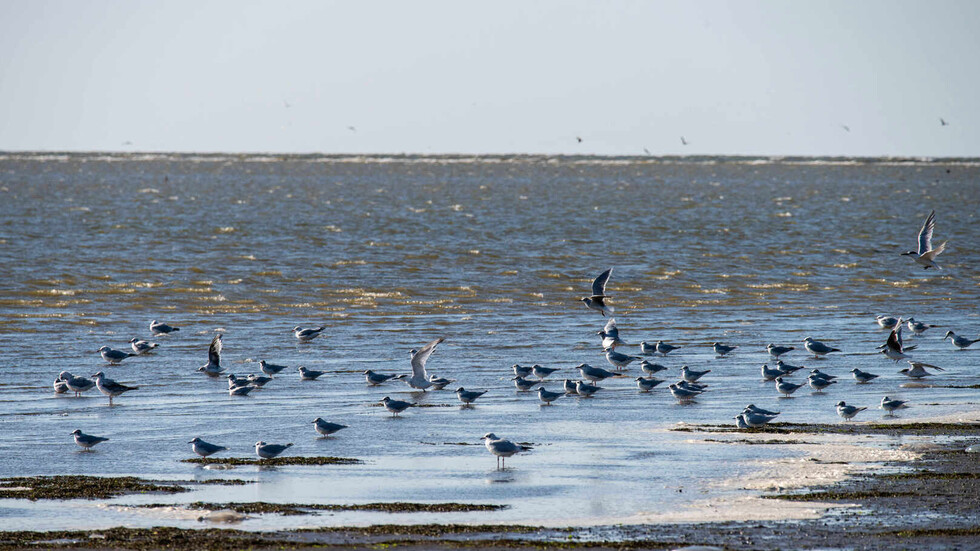 الأمن الروسي: جريح جراء تعرض سفينتين تجاريتين روسيتين لقصف صاروخي أوكراني في بحر أزوف