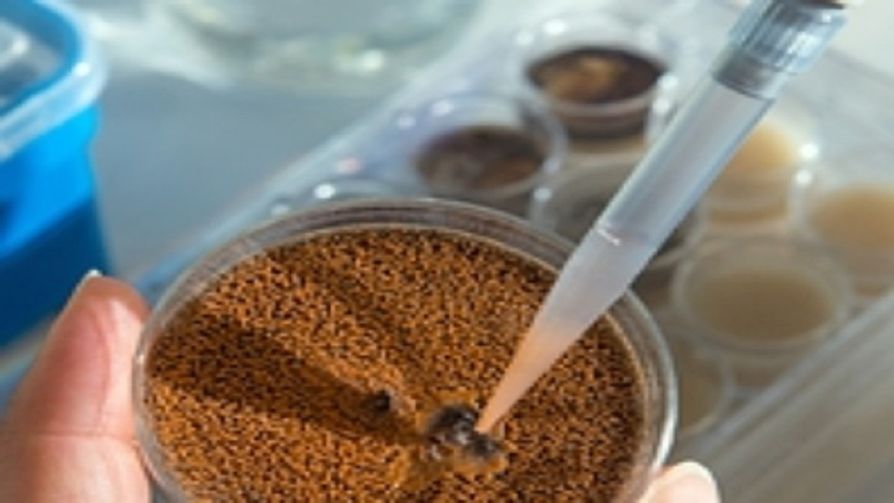 العثور على حمض نووي لفيروسات مجهولة في ترب الولايات المتحدة