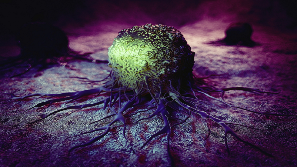 مشروب يمكن أن 