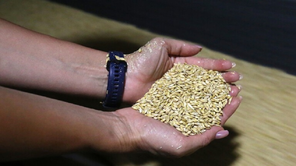 وزير الاقتصاد اللبناني: نحاول حجز كمية كبيرة من القمح تكفي لمدة عام