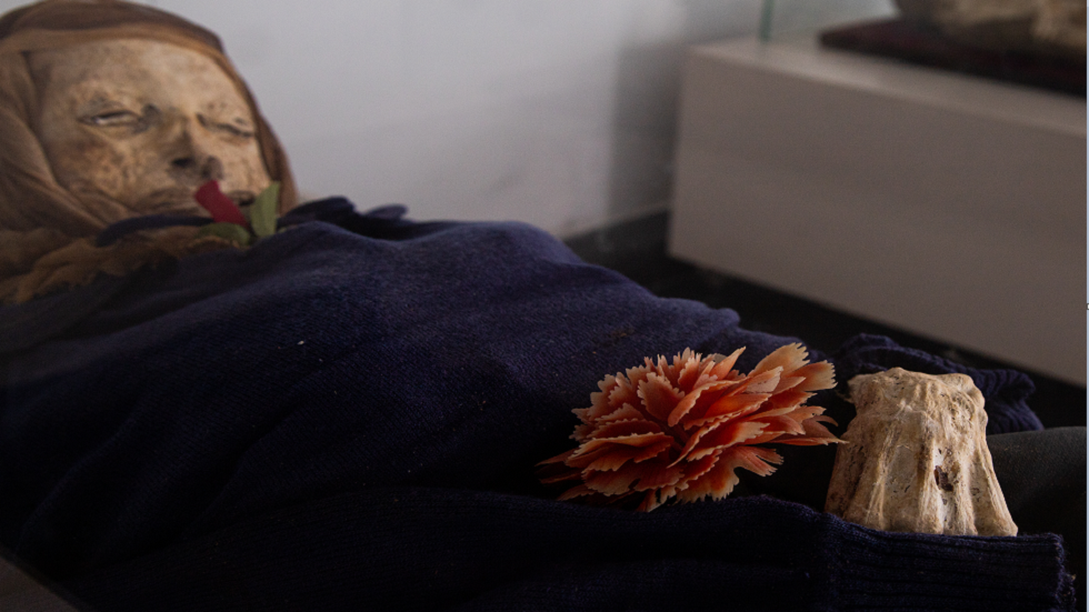 "مومياوات سان برناردو الطبيعية": لغز محيّر حول جثث عمرها 100 عام ظلت محفوظة بشكل جيد!