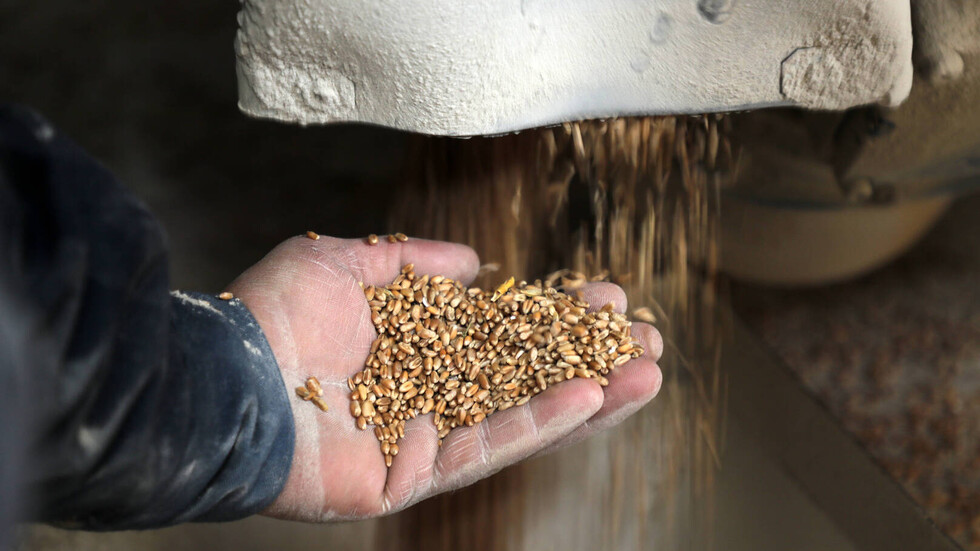 روسيا تحظر تصدير الحبوب إلى دول الاتحاد الاقتصادي الأوراسي مؤقتا