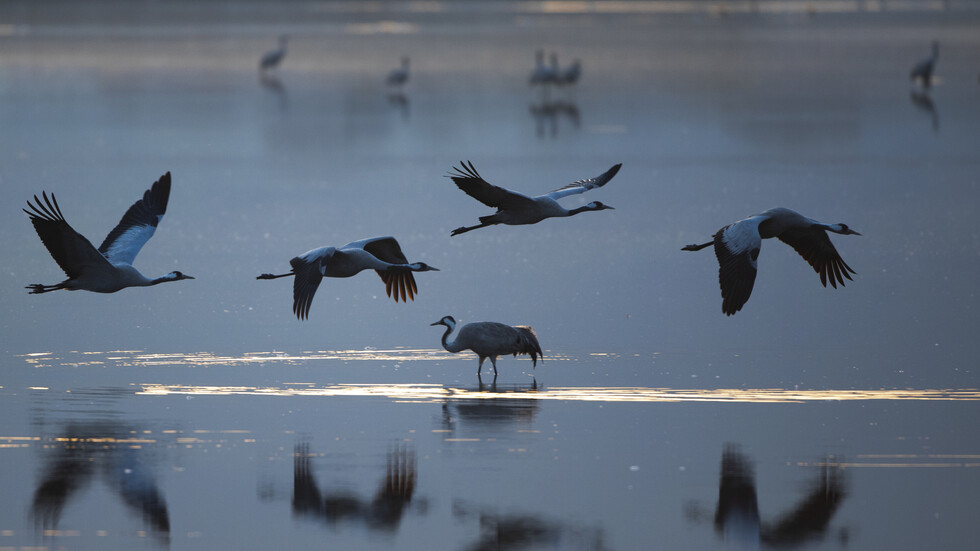 منسوب مياه بحيرة طبريا يرتفع في 3 أيام