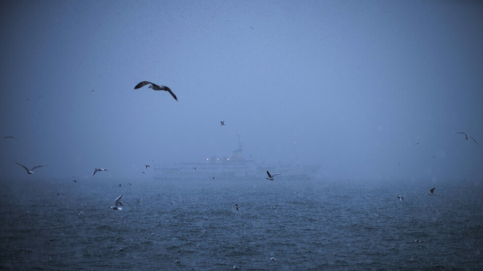 تركيا تعلن إجراء محادثات مع روسيا وأوكرانيا بسبب لغم بحري في البوسفور