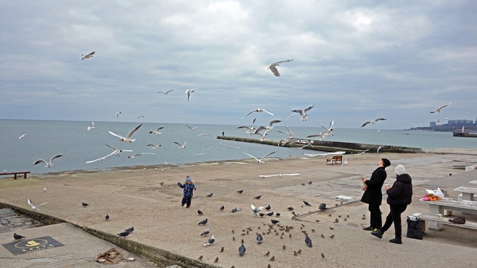 الدفاع الروسية: المتطرفون الأوكرانيون يخططون لتفجير سد "خاجيبي" في أوديسا الأوكرانية