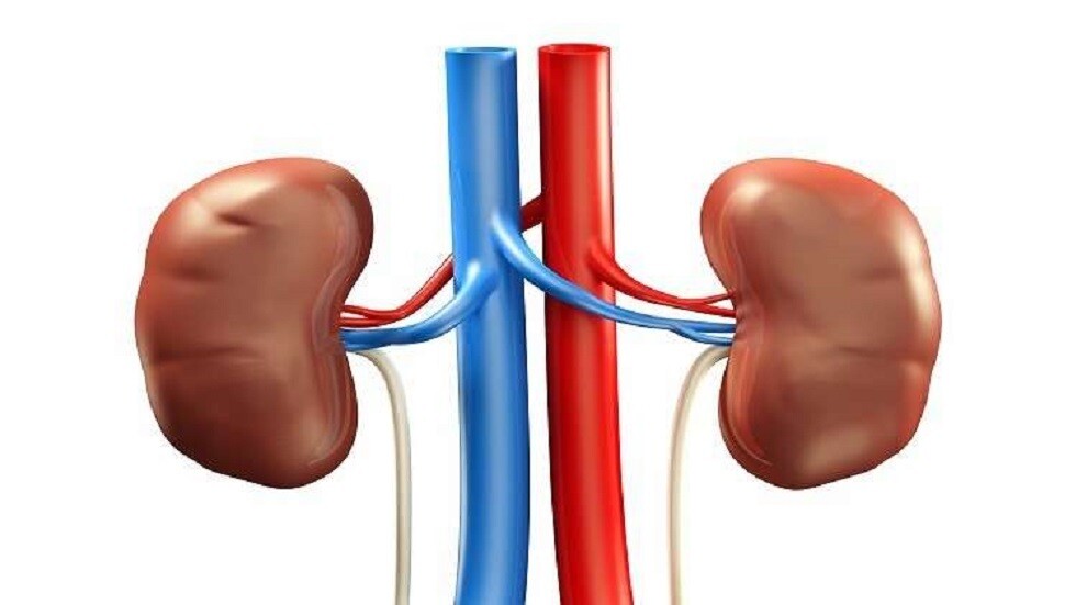 طبيب: الاستيقاظ المتكرر ليلا أحد أعراض أمراض الكلى