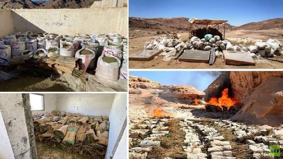 مصر.. الجيش يزيل مزارع بانجو ويتلف كميات ضخمة من المخدرات بسيناء