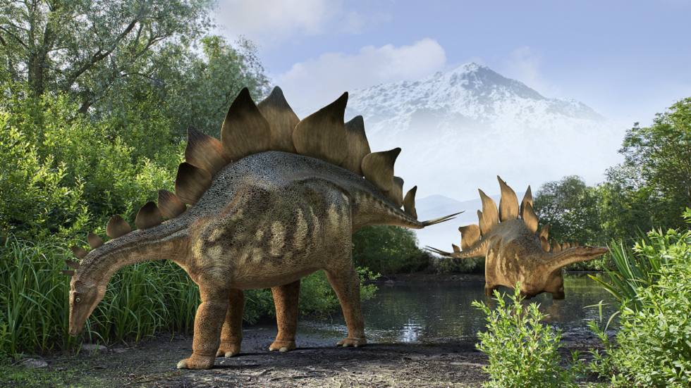 الكشف عن نوع جديد من ستيغوصور جاب الأرض منذ حوالي 168 مليون سنة!