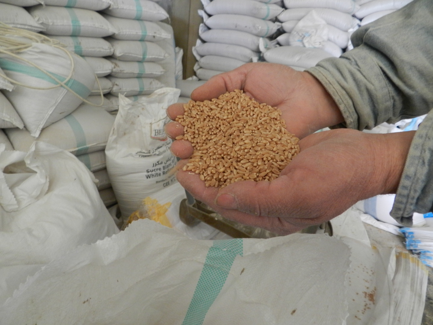ارتفاع غير مسبوق لأسعار القمح.. من هم أكبر المصدرين والمستوردين والمنتجين في العالم؟