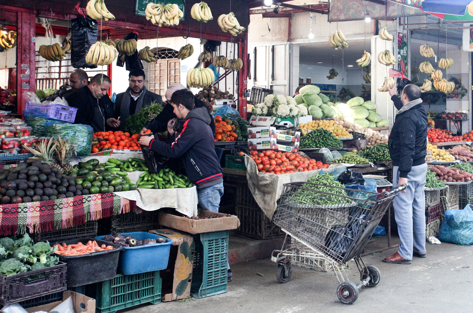 وزارة الزراعة في غزة توقف تصدير الخضراوات إلى الخارج