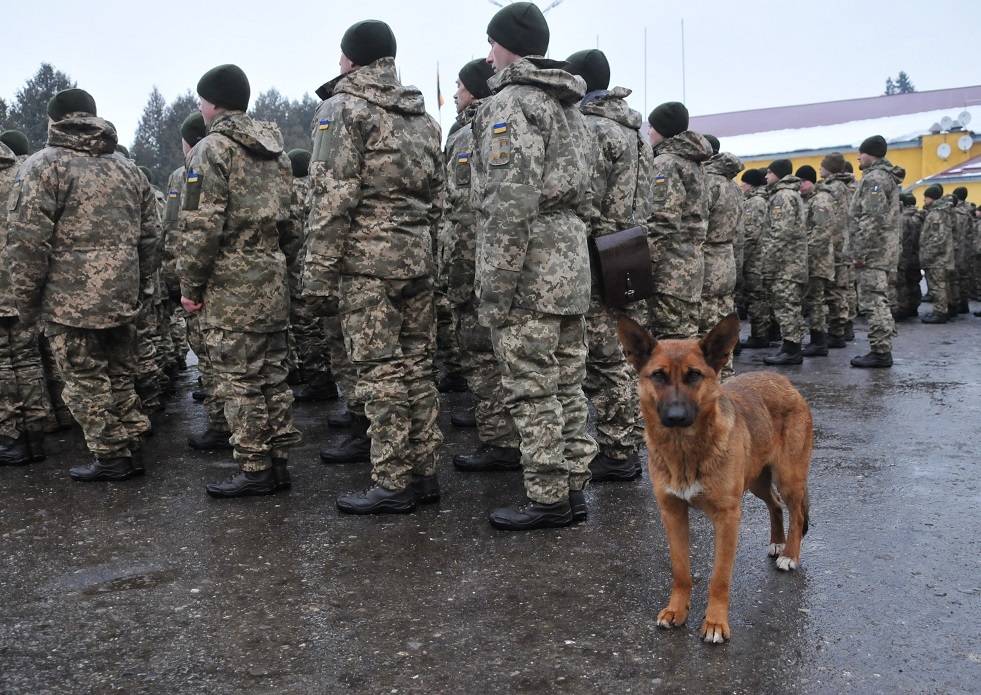 دونيتسك: استسلام 17 عسكريا أوكرانيا خلال يوم واحد