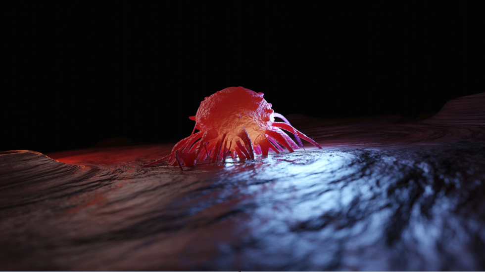 أسباب السرطان: فيروسات يُعتقد أنها مسؤولة عن 10% من الحالات في جميع أنحاء العالم!