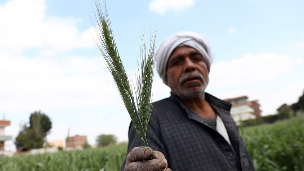 الأمم المتحدة: الشرق الأوسط الأكثر عرضة لأزمات غذائية بسبب الحرب في أوكرانيا