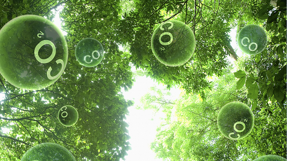 تقرير يحذر: امتصاص ثاني أكسيد الكربون من الهواء ضروري لمنع تغير المناخ.. حتى لو تخلينا عن القيادة!