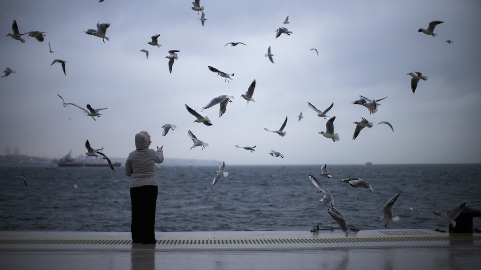 تركيا ترصد لغما "شاردا" آخر في البحر الأسود