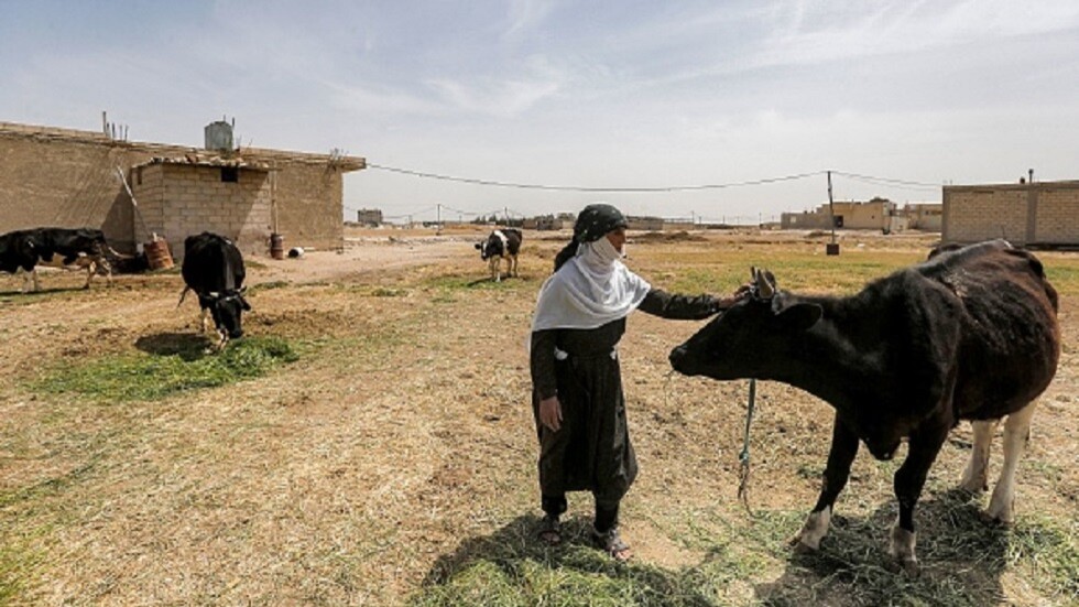 العراق.. وفاة سبعة أشخاص بـ"حمى الكونغو النزفية" منذ مطلع العام الماضي في جنوب البلاد