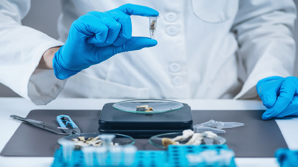 دراسة: مركب مخدر في الفطر السحري "يفتح" عقول الأشخاص المصابين بالاكتئاب!