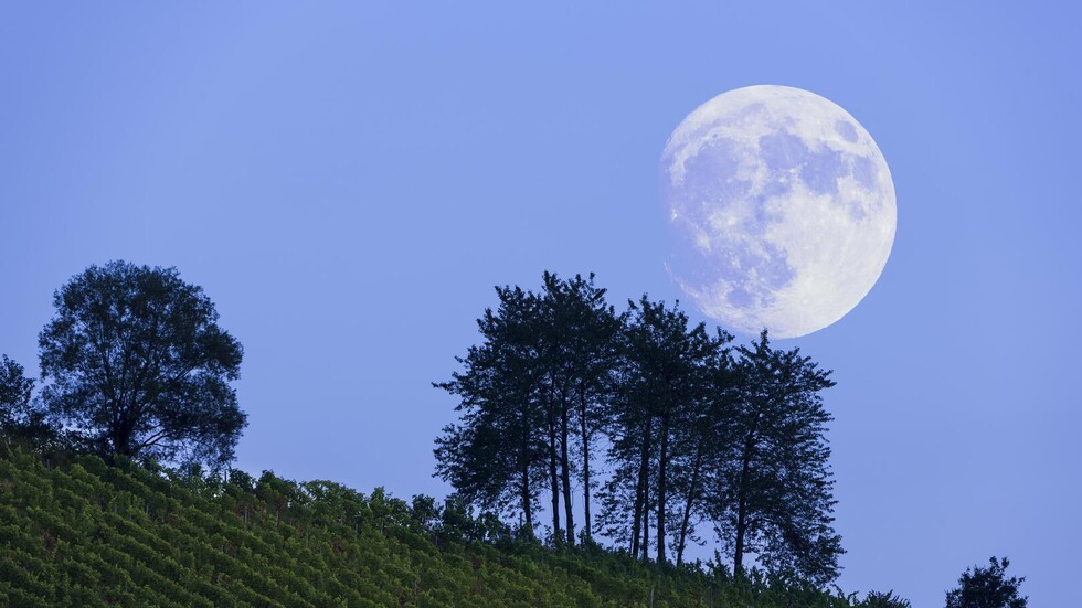 بوتين: روسيا ستستأنف برنامج القمر