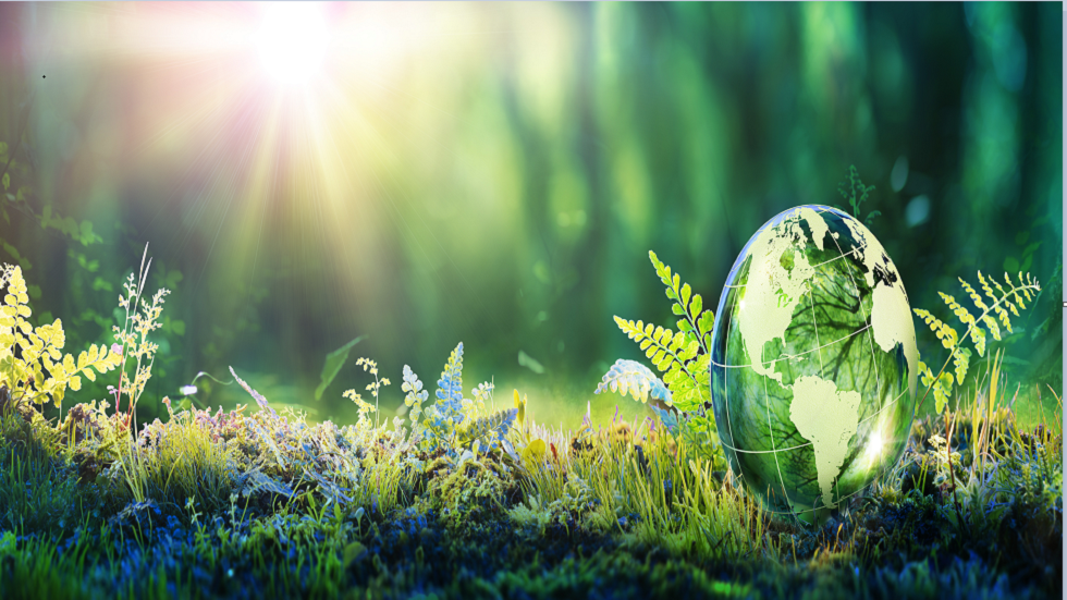 دراسة جديدة تحقق اكتشافا هاما حول ظهور الحياة الأولى على الأرض!