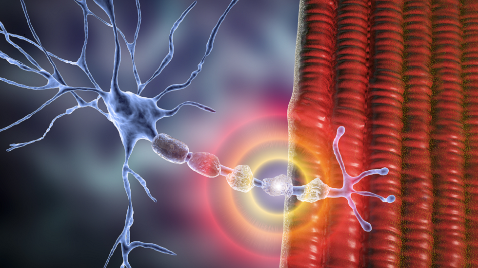 اختراق واعد لمرض التصلب المتعدد!