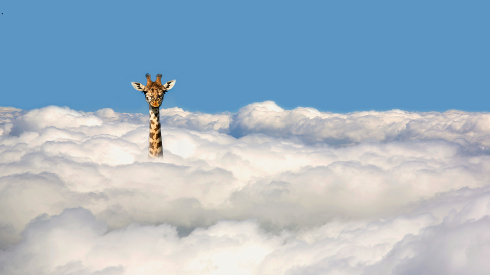 لماذا تختلف أعمار الحيوانات المتنوعة؟