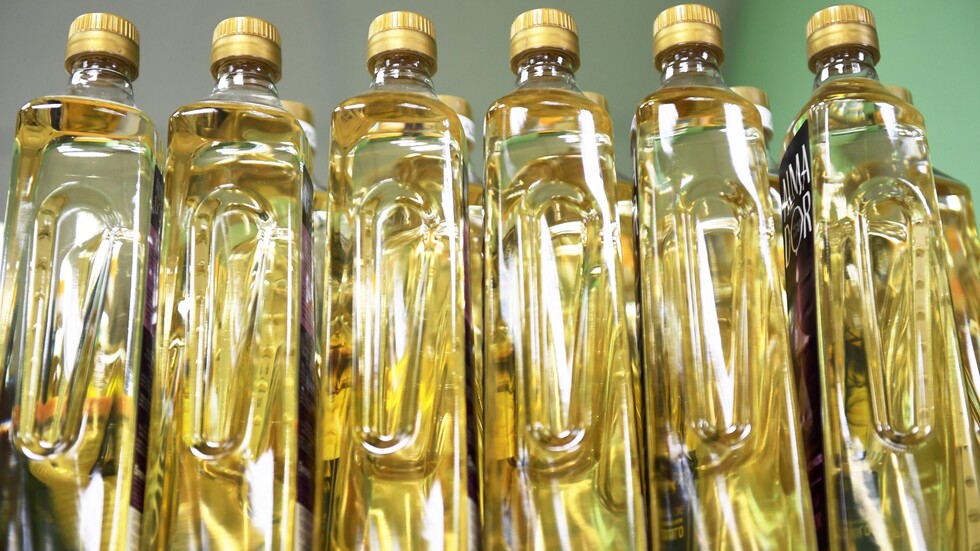 ألمانيا تواجه أزمة في إمدادات زيت عباد الشمس بسبب الأزمة الأوكرانية