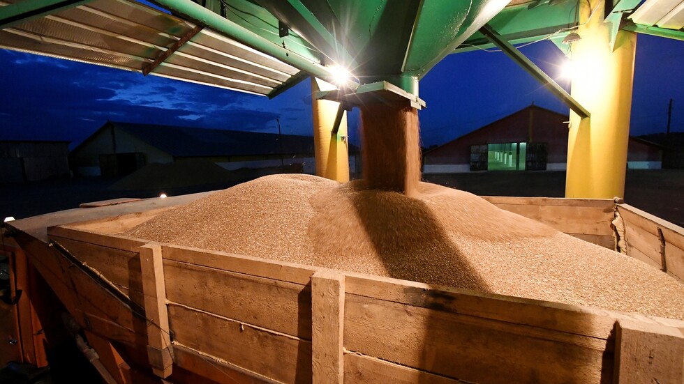 صحيفة: وقف صادرات الحبوب من روسيا وأوكرانيا قد يسبب مجاعة جماعية في إفريقيا والشرق الأوسط