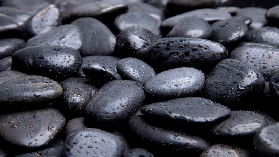 العلماء يؤكدون 