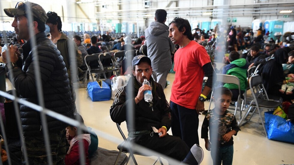 مجلة أمريكية: زائر غير منتظر دق الباب على أسرة لاجئة في ألمانيا وطلب منها إخلاء المنزل للأوكرانيين