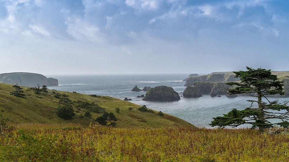 الكرملين يعلق على وصف اليابان جزر الكوريل بـ"الأرض المحتلة"