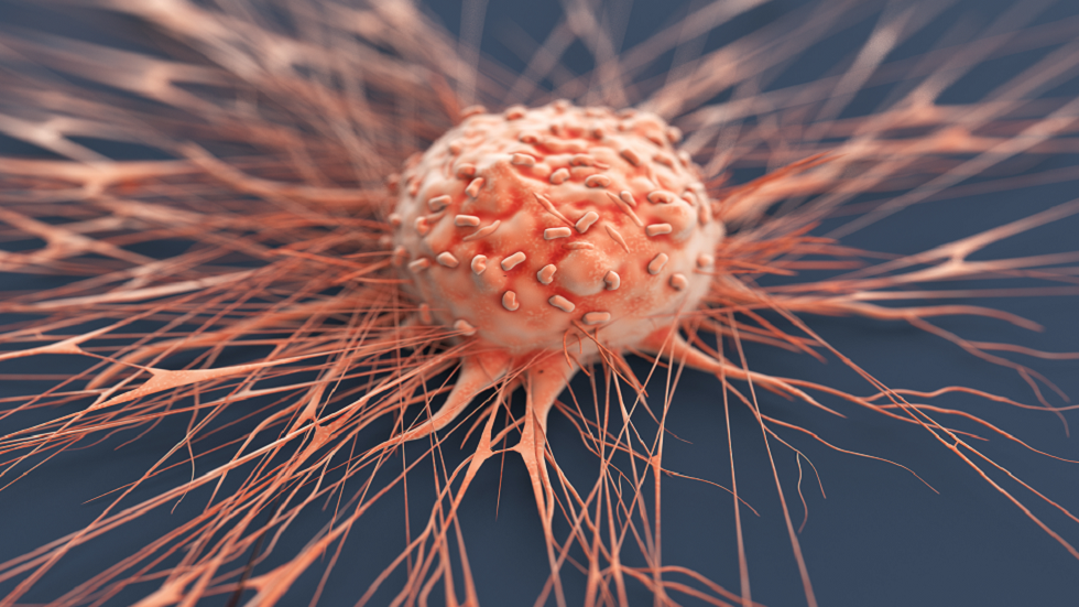 دراسة: تناول أطعمة محددة تحتوي على النتريت بانتظام مرتبط بزيادة خطر السرطان!