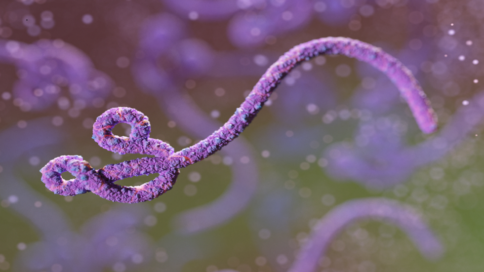 تفشي الإيبولا: الصحة العالمية تدق ناقوس الخطر مع الوفاة  الثانية بسبب المرض!