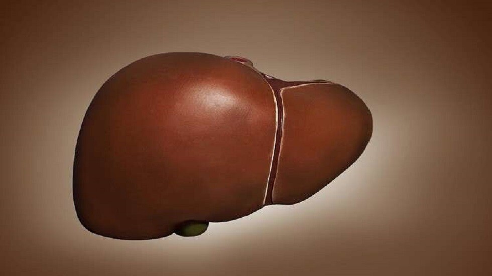 مركبّات الفلور العضوية تلحق ضررا مباشرا بالكبد