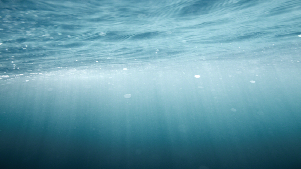 اكتشاف وحش بحري قديم عاش قبل 205 ملايين سنة!