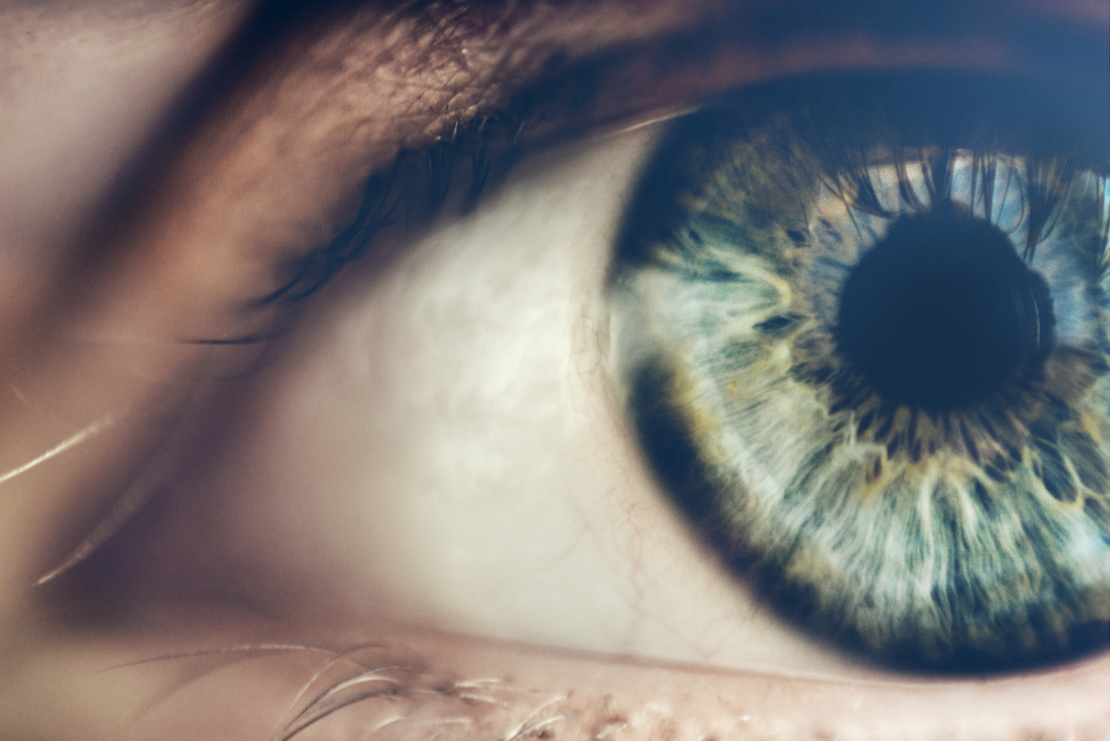 من أمراض الكبد إلى داء السكري .. علامات تظهر في العين قد تكشف عن حالات صحية مقلقة