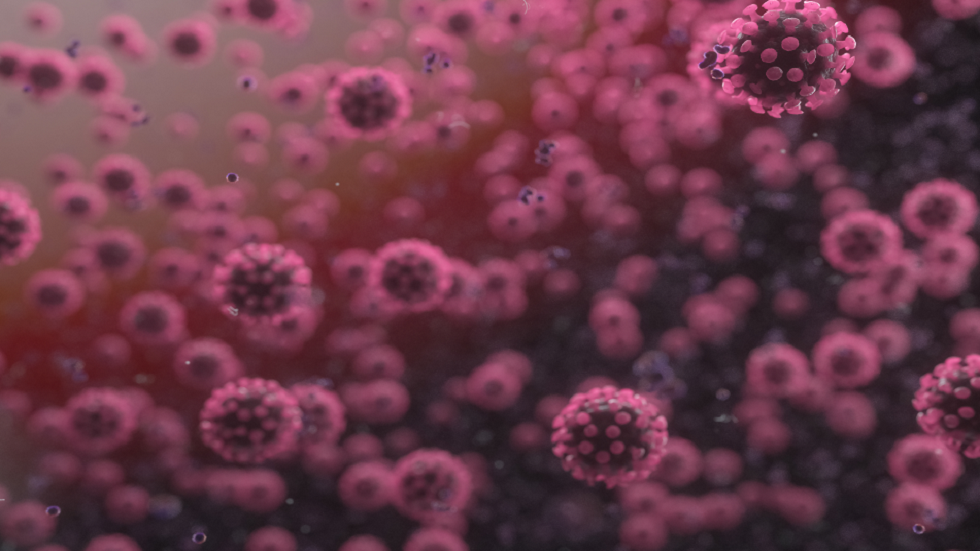 6 نتائج جديدة اكتشفها العلماء مؤخرا عن الفيروسات!