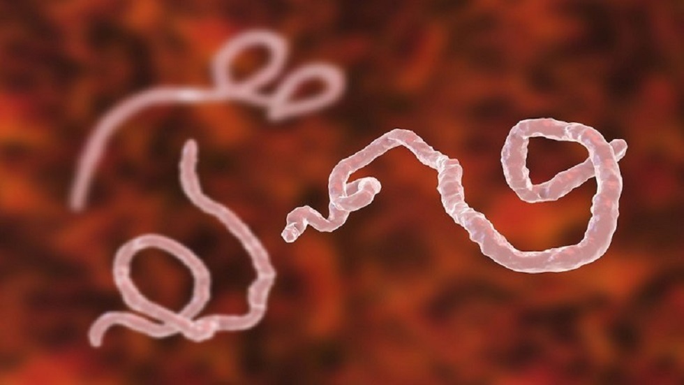 الكونغو الديمقراطية.. تسجيل أول إصابة بفيروس إيبولا منذ وقت طويل