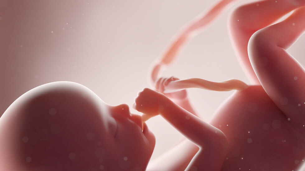 كيف يمكن لمعرفة جنس الجنين أن ينقذ حياة طفلك؟